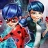Ladybug Secret Mission